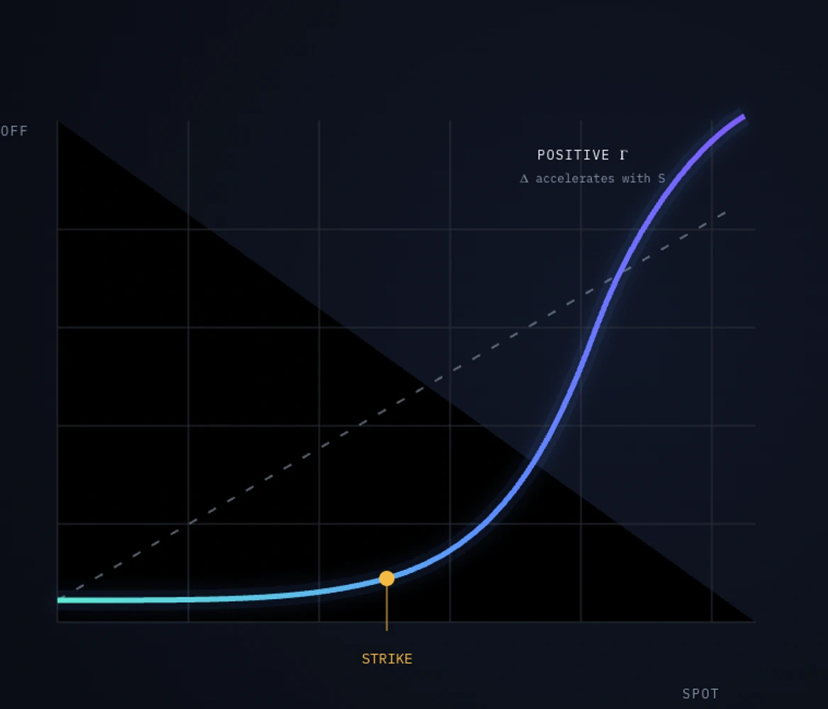Payoff and convexity visualization comparing strike, spot, and positive gamma.